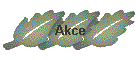 Akce