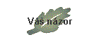 V nzor