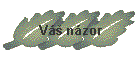 V nzor