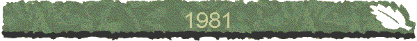 1981
