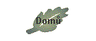 Domů