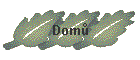 Dom