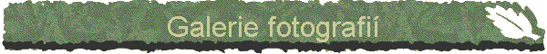 Galerie fotografi