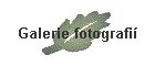 Galerie fotografi